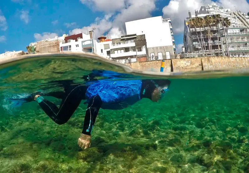 Buceo LPA 1-LPAVISIT