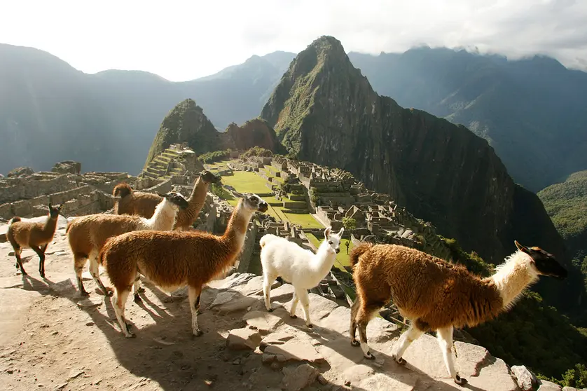 Julio del 2009.

Ruinas de Machu Picchu.

Fotos: Enrique Castro-Mend&rsquo;vil