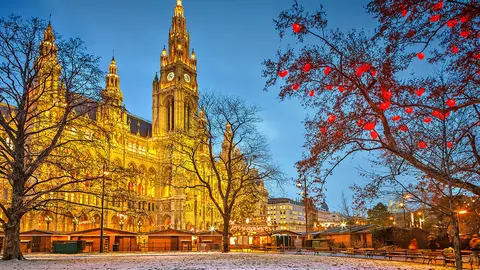 Vienna Town Hall at dusk