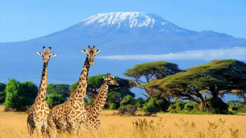 kenia