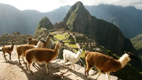 Julio del 2009.

Ruinas de Machu Picchu.

Fotos: Enrique Castro-Mend&rsquo;vil