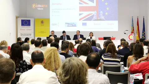 foto 1 jorna camara brexit