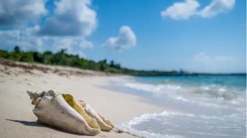 cozumel