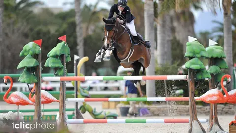 equestre